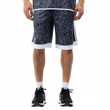 Men's Shorts District75 Grey 